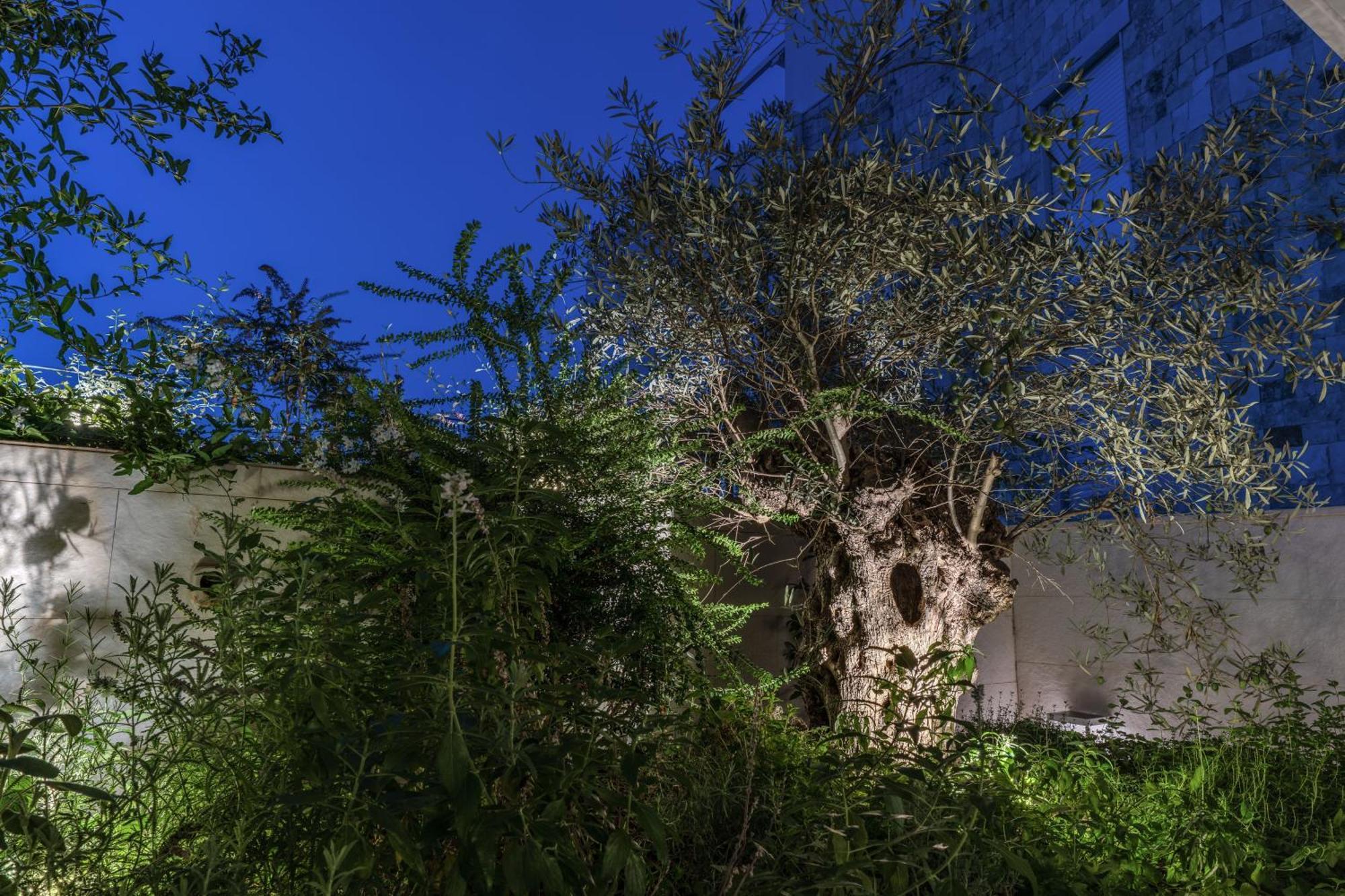 Olea Boutique Suites Polignano ポリニャーノ・ア・マーレ エクステリア 写真